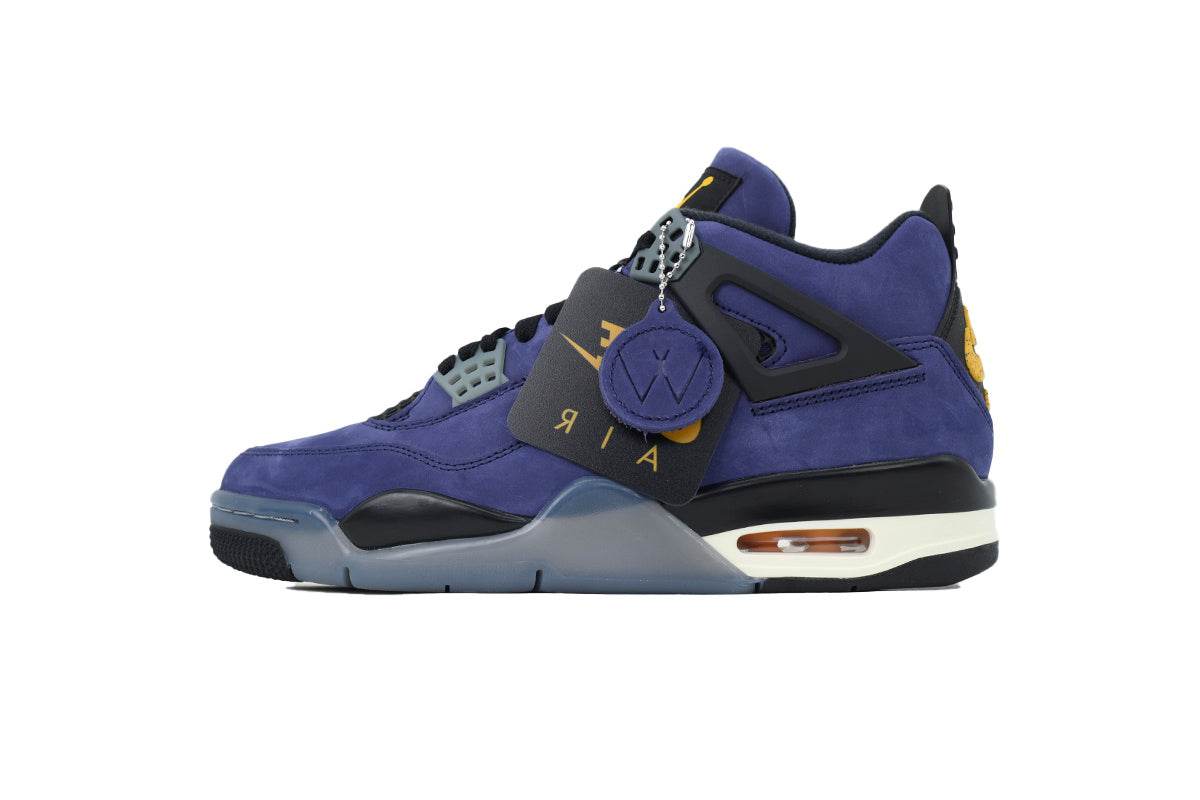 Air Jordan 4 FV5029-500