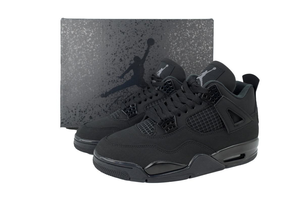 Air Jordan 4 FV5029-010