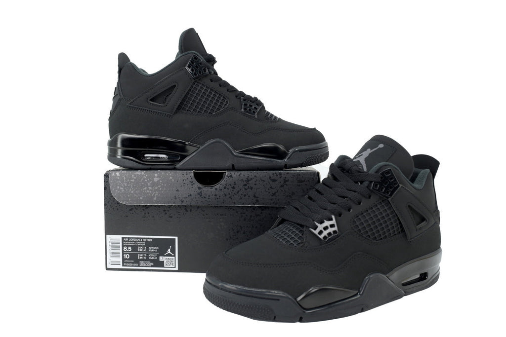 Air Jordan 4 FV5029-010