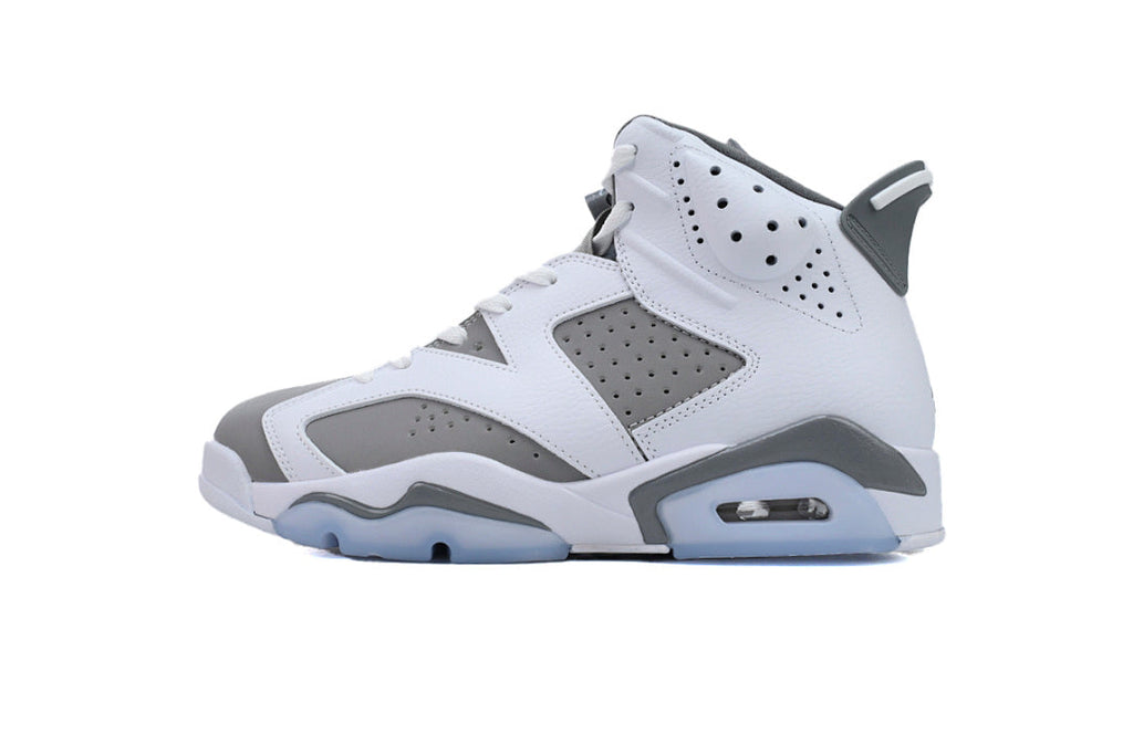 Air Jordan 6 CT8529-100