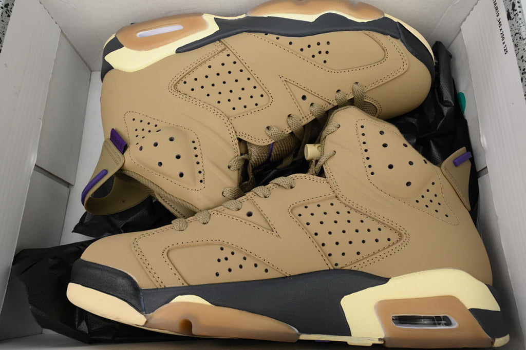 Air Jordan 6 FD1643-300