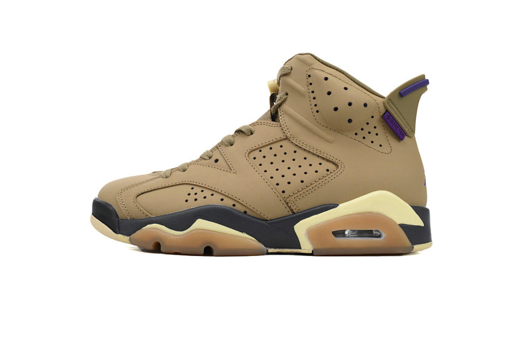 Air Jordan 6 FD1643-300
