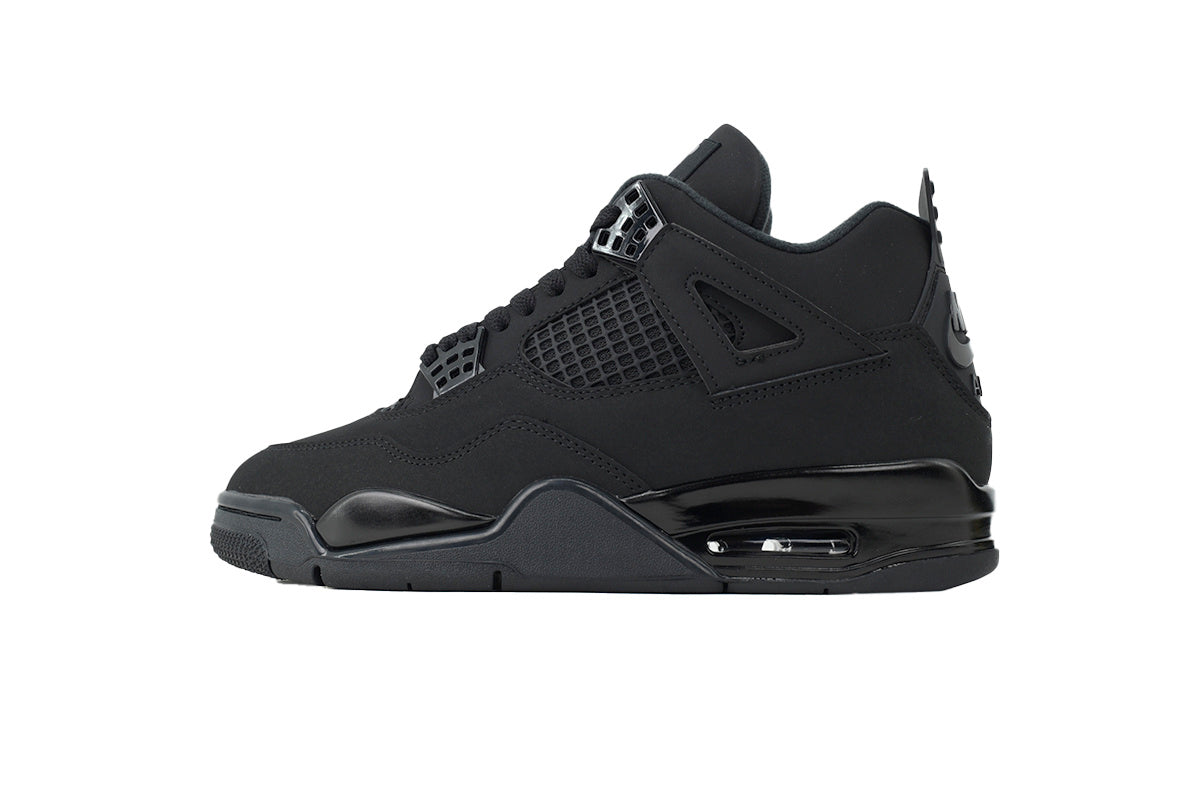 Air Jordan 4 FV5029-010