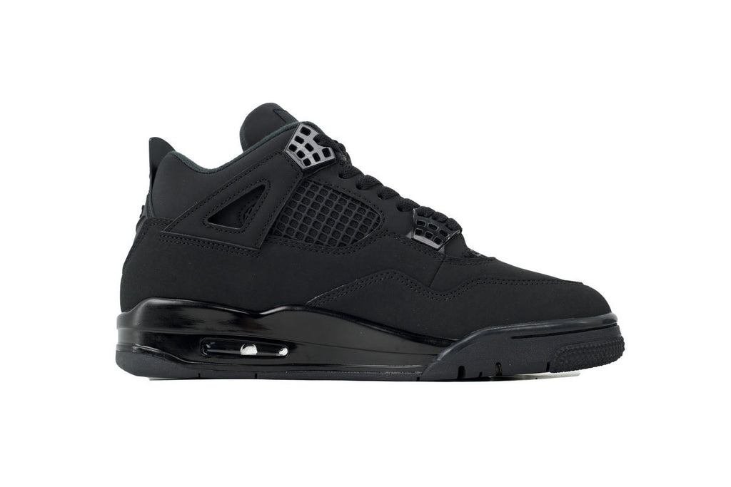 Air Jordan 4 FV5029-010