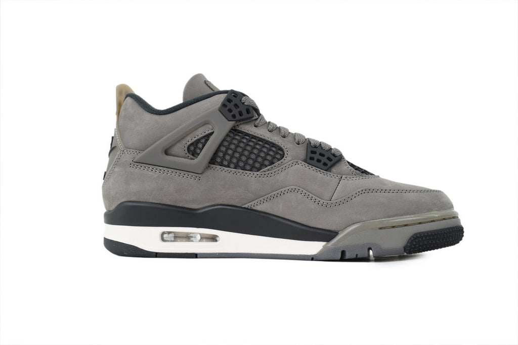 Air Jordan 4 FV5029-200
