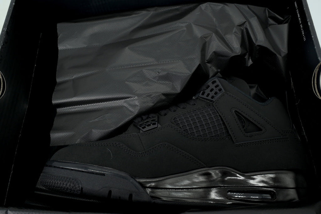 Air Jordan 4 FV5029-010