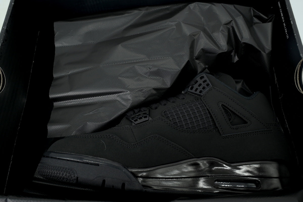 Air Jordan 4 FV5029-010