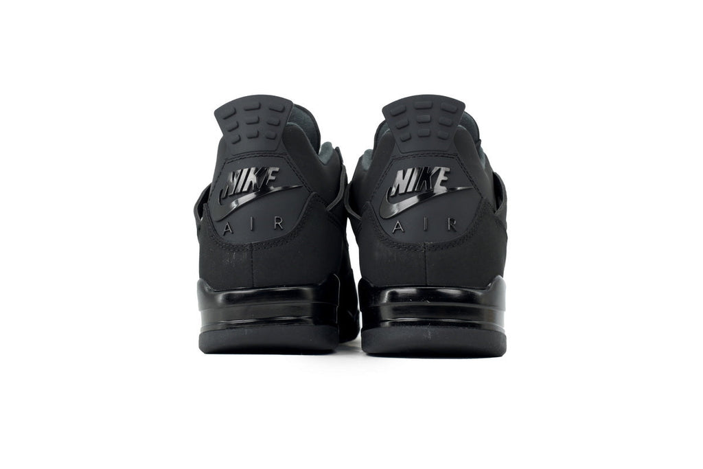 Air Jordan 4 FV5029-010