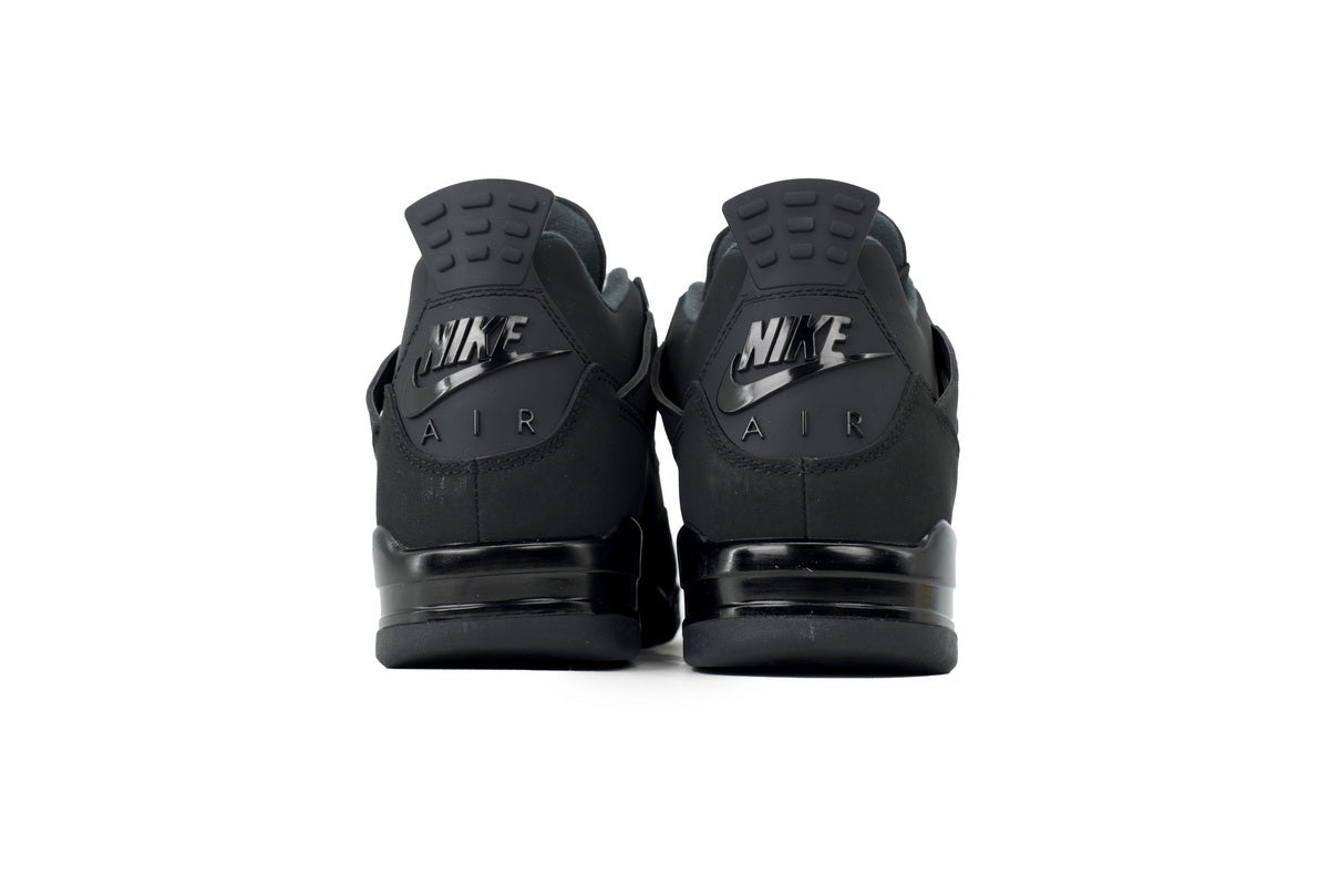 Air Jordan 4 FV5029-010