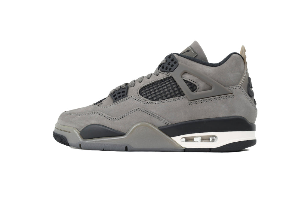 Air Jordan 4 FV5029-200