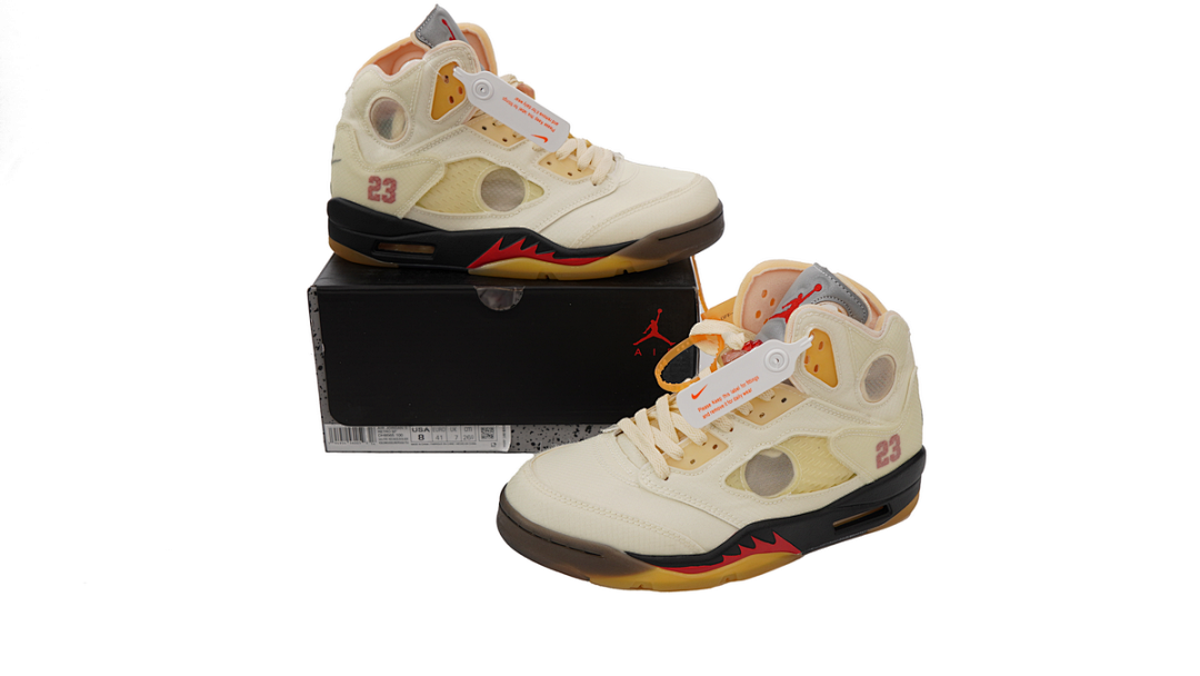 Air Jordan 5 DH8565-100
