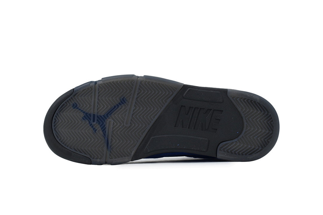 Air Jordan 5 DD0587-400