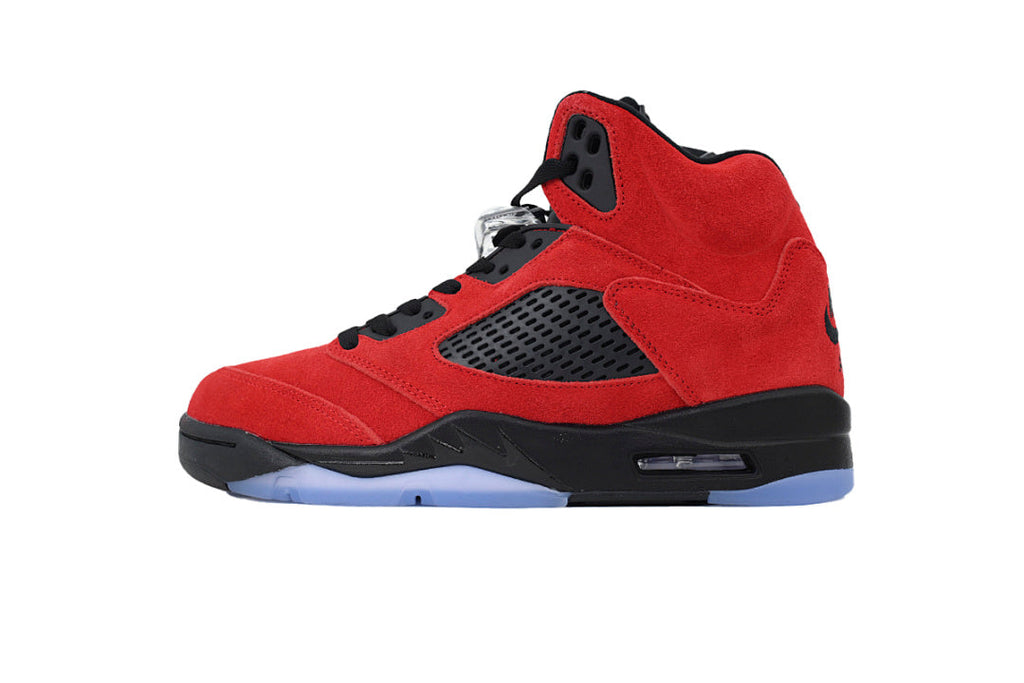 Air Jordan 5 DD0587-600