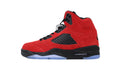 Air Jordan 5 DD0587-600