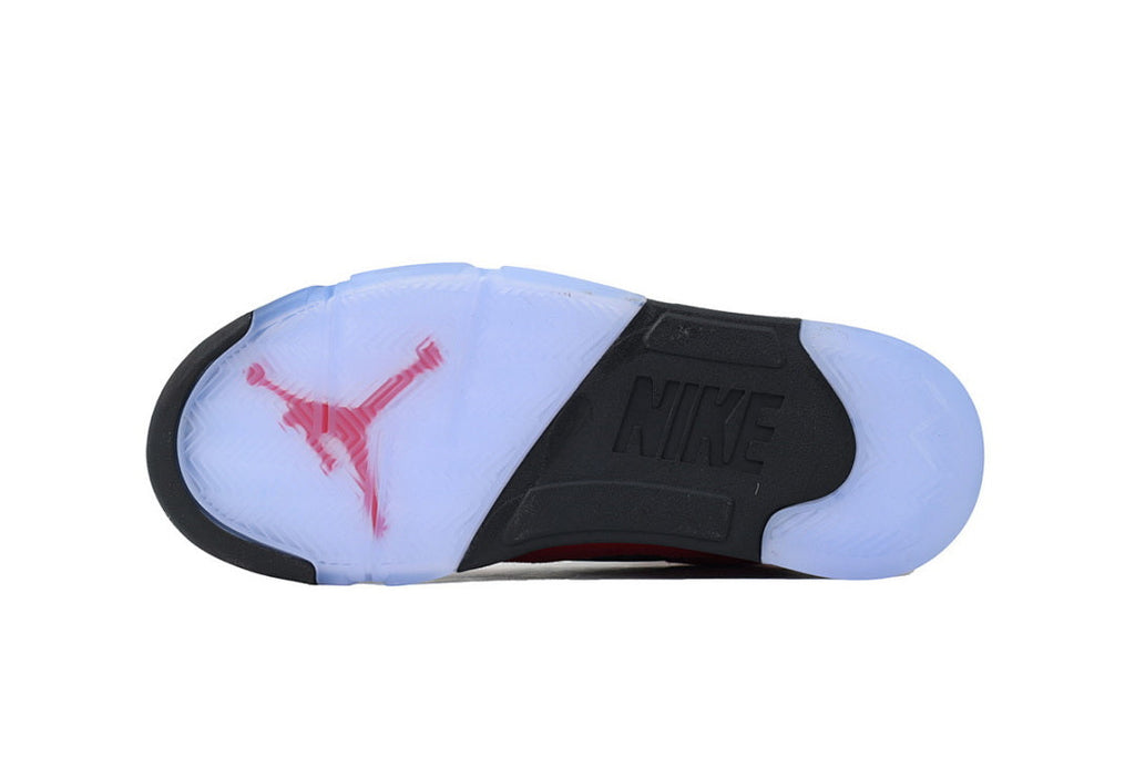 Air Jordan 5 DD0587-600