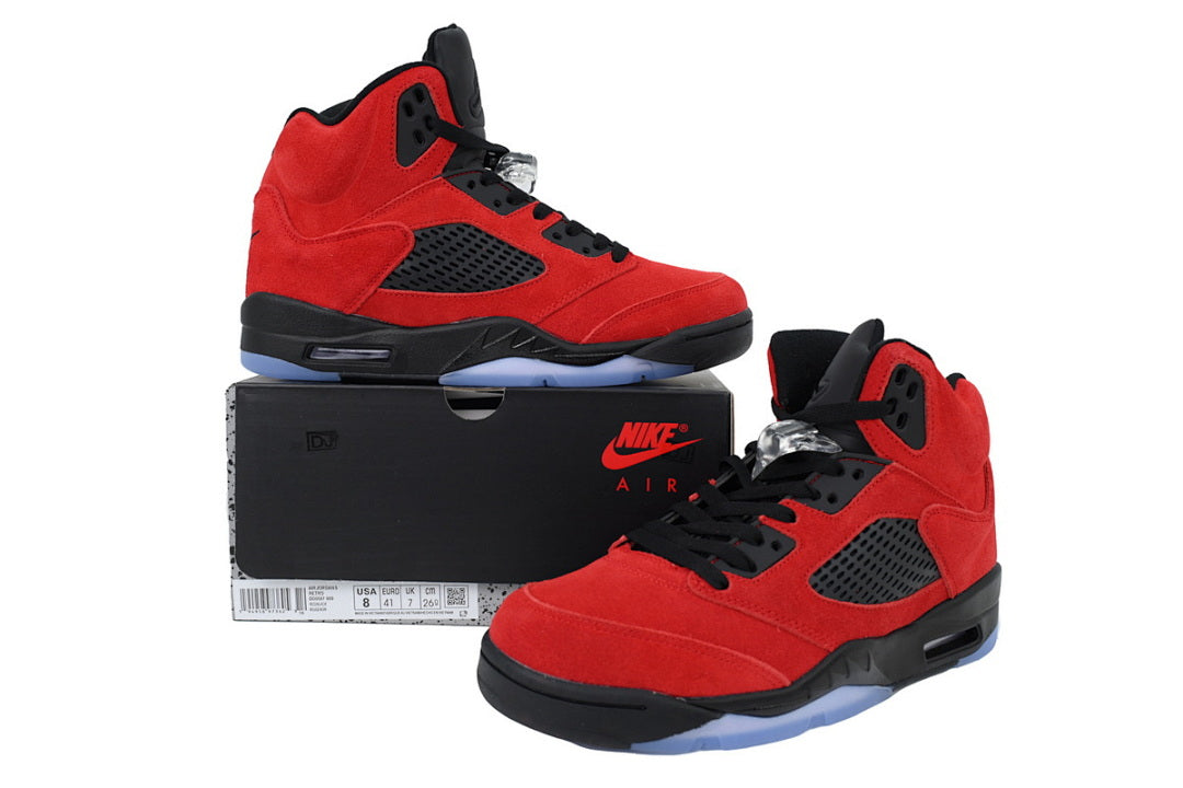 Air Jordan 5 DD0587-600