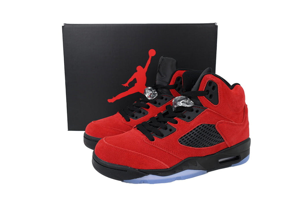 Air Jordan 5 DD0587-600