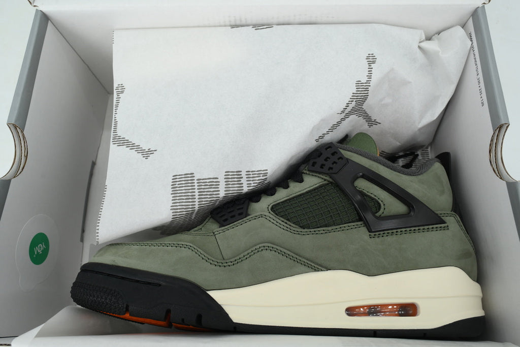 Air Jordan 4 IB1519-200