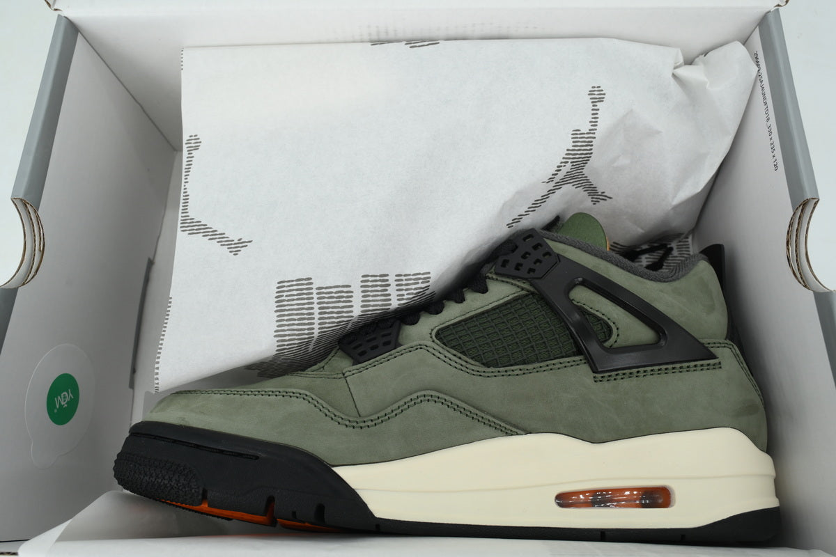 Air Jordan 4 IB1519-200