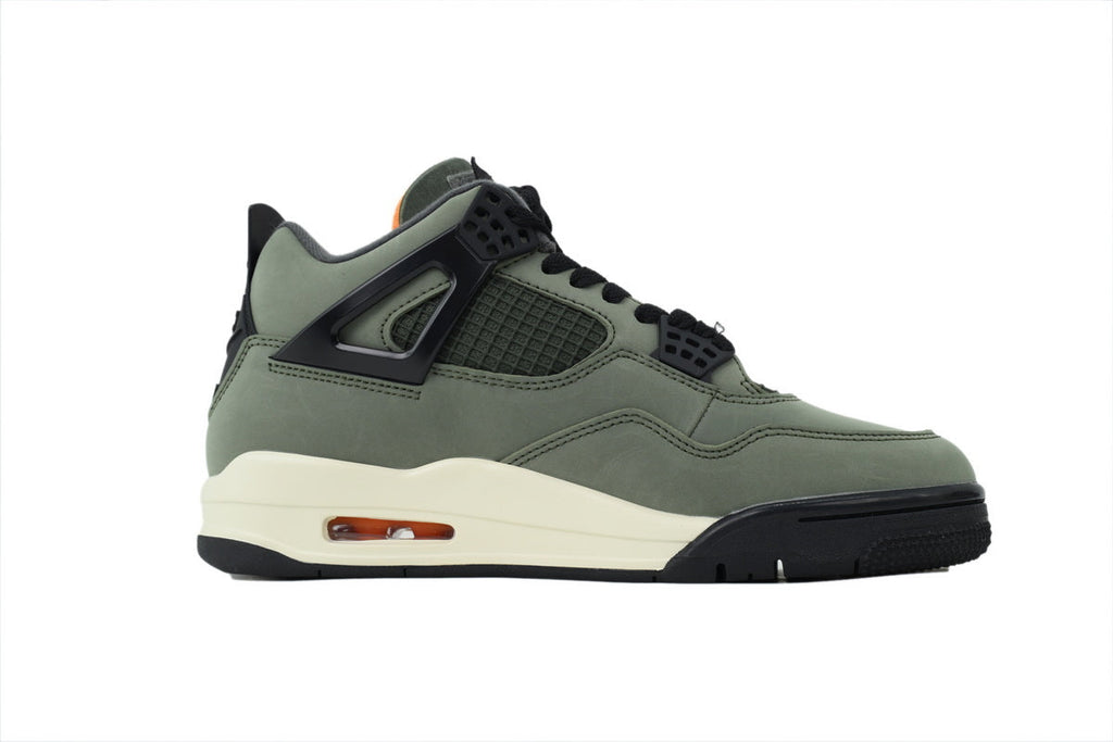 Air Jordan 4 IB1519-200