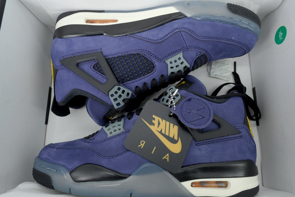 Air Jordan 4 FV5029-500