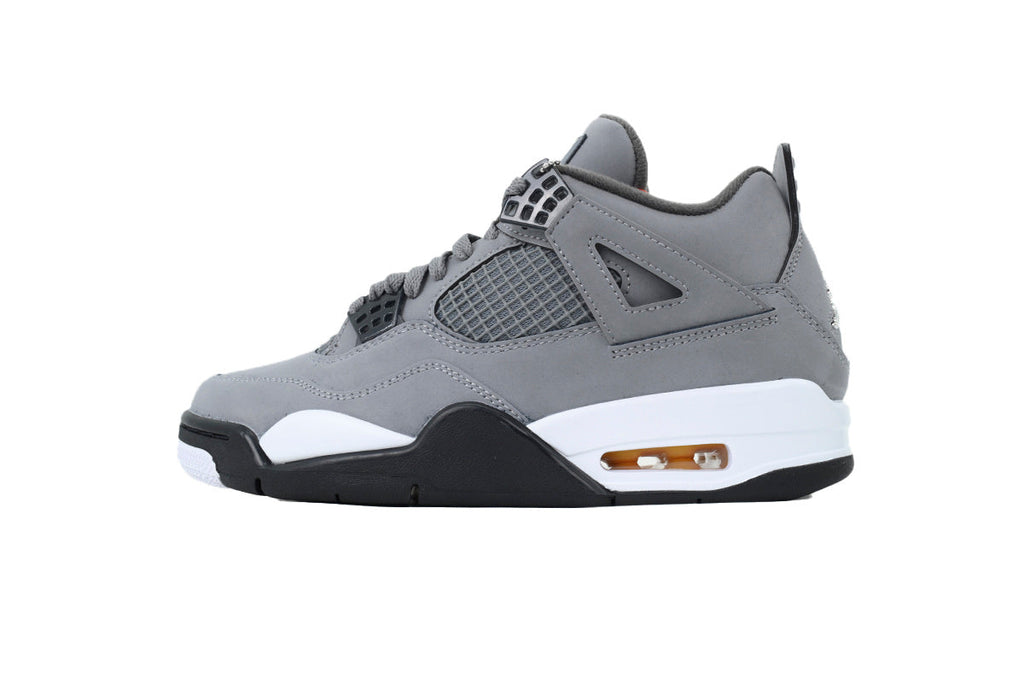 Air Jordan 4 308497-007