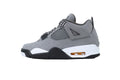 Air Jordan 4 308497-007