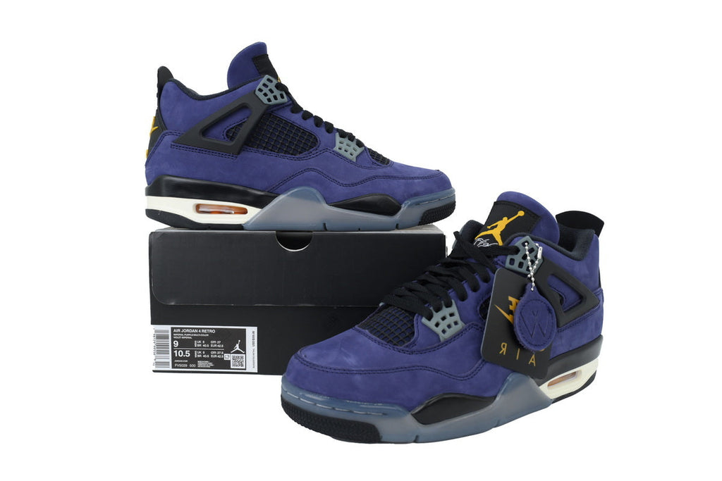 Air Jordan 4 FV5029-500
