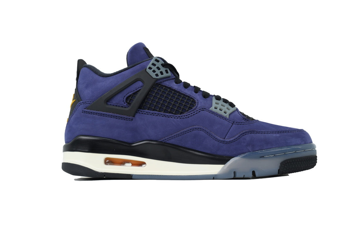 Air Jordan 4 FV5029-500