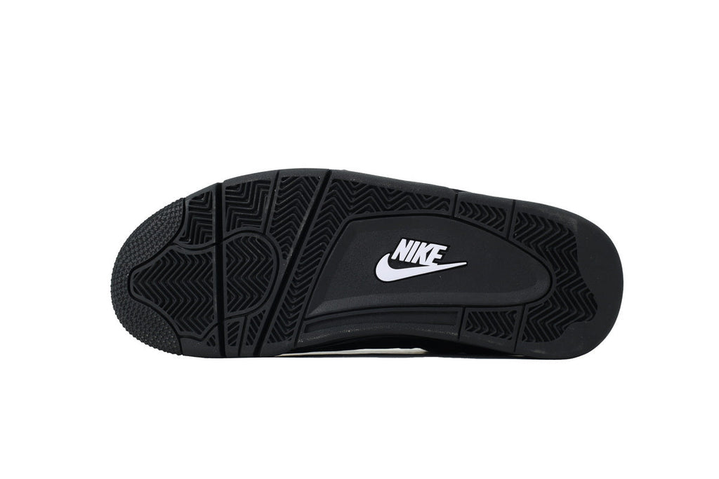 Air Jordan 4 FV5029-010